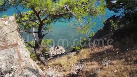 从菲塞利斯山到地中海的景色古莱西亚之城土耳其视频的预览图