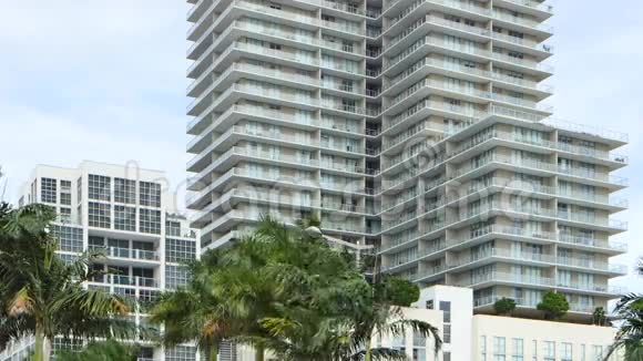 迈阿密4K建筑物和棕榈树录像视频的预览图