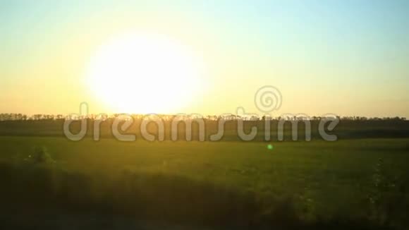 美丽的日落在绿色的田野上高清1920x1080视频的预览图
