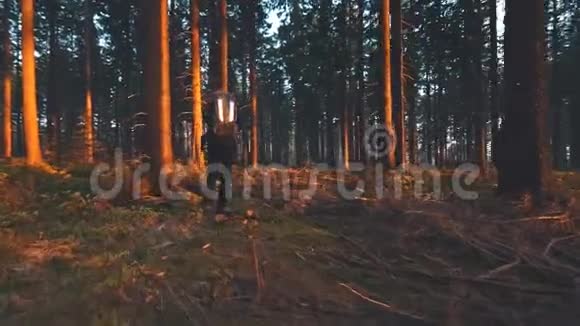 日落时徒步在森林里徒步旅行视频的预览图