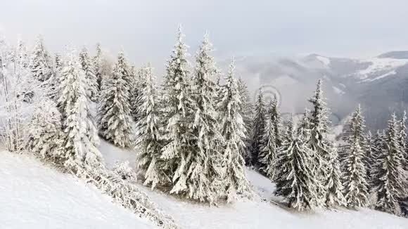 冬天的山脉农村人口满是雪的树新年快乐视频的预览图