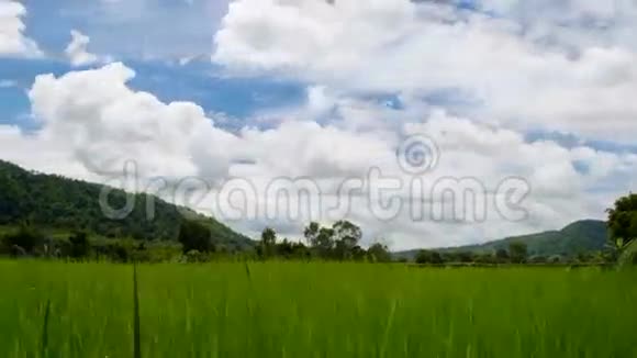 稻田和天空中的云动视频的预览图