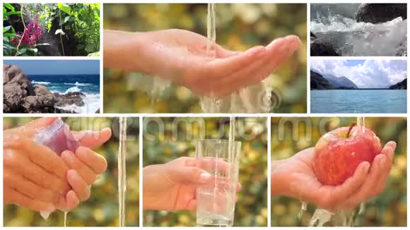 概念拼贴水是我们星球上的生命视频的预览图