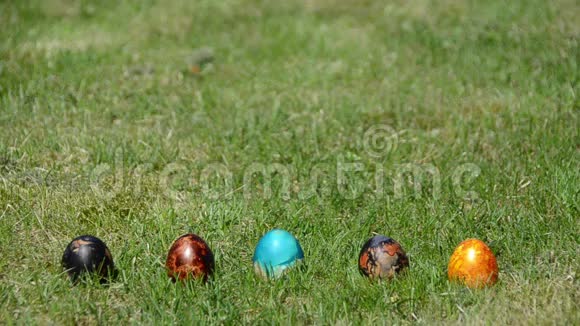 传统家庭复活节游戏草地上涂彩蛋视频的预览图