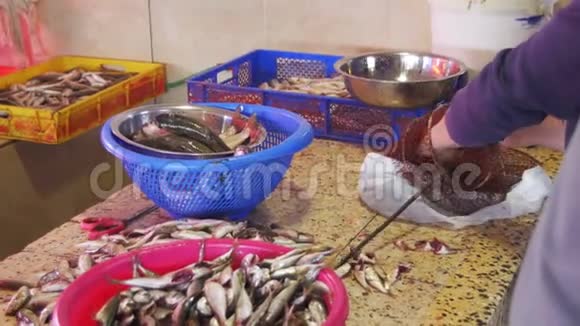 女性清洁和切鱼市场新鲜鱼视频的预览图