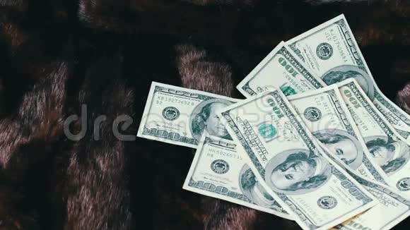 毛皮大衣和一百美元的钞票视频的预览图