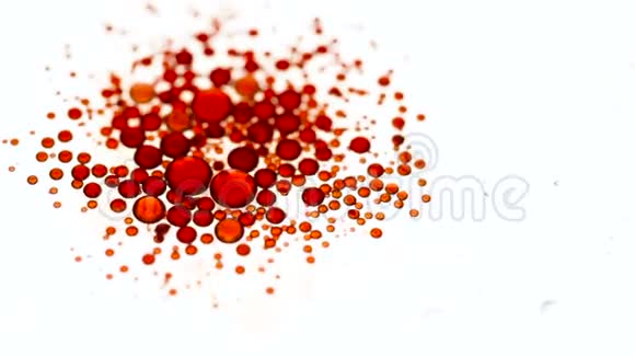 漂浮的红油滴在水面上视频的预览图