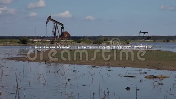德克斯马湖上哈格曼野生动物保护区的石油井架视频的预览图