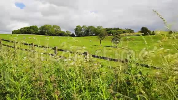 美丽的英国风景约克郡英国高清镜头视频的预览图