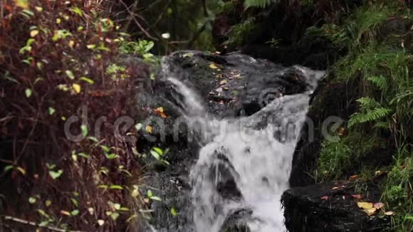 舒缓平静的瀑布九月在苏格兰生命之水视频的预览图