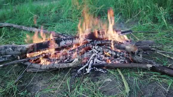 草地上的篝火视频的预览图