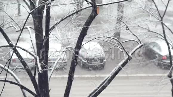 降雪期间在街上停放车辆视频的预览图