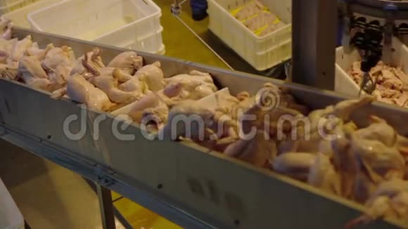 生产过程中的禽肉视频的预览图