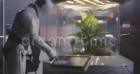 机器人与植物孵化器一起工作视频的预览图