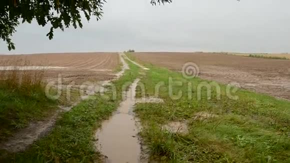 夏末农田和道路上的雨视频的预览图