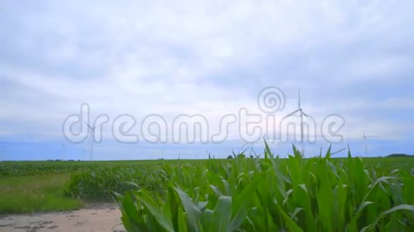 绿野风轮机养殖场风力涡轮机景观视频的预览图