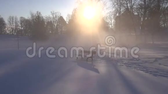 冬季公园的长椅和带有阳光的晨雾视频的预览图