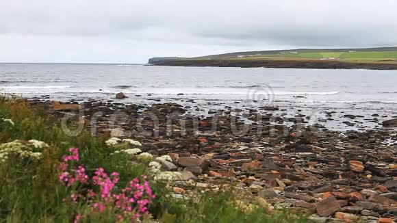 苏格兰奥克尼斯卡尔湾景观视频的预览图