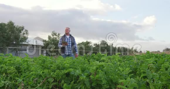 在农场工作的成熟男人视频的预览图