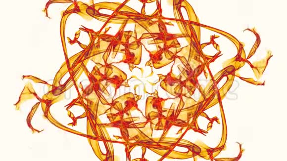 白色背景的橙色分形图案现场分形视频能量获取的曼陀罗慢速旋转部件视频的预览图