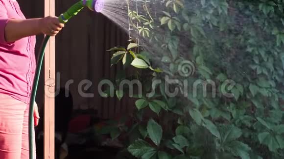 手动花园喷雾器视频的预览图
