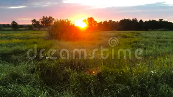 田野里的夏日夕阳视频的预览图