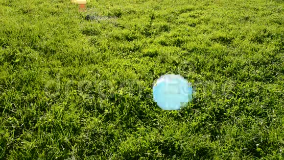 草地上的各种气球飞行视频的预览图