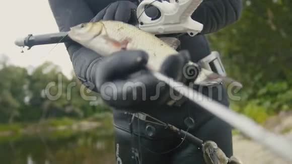 在森林河狩猎后的水下渔民长矛中的淡水鱼视频的预览图