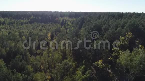4乌克兰乡村风景中飞越美丽绿色森林的K航空视频的预览图
