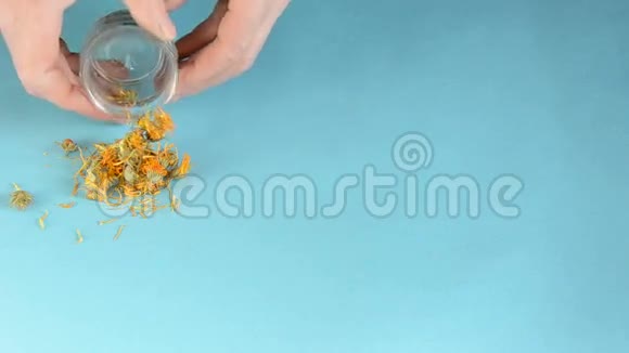 金盏花吹和洋甘菊茶视频的预览图