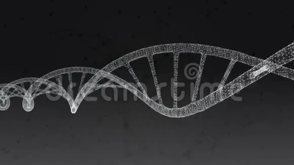 人类DNA摘要黑色背景与丛循环动画视频的预览图
