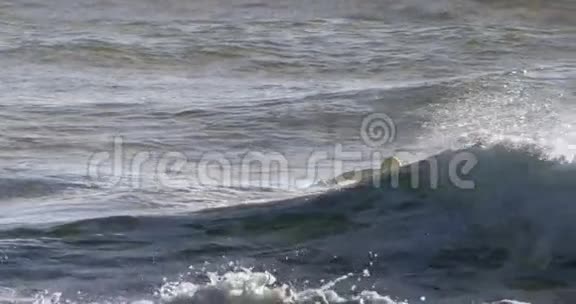 冲浪者在海里冲浪视频的预览图