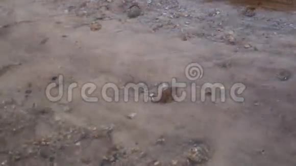 沙和水流视频的预览图