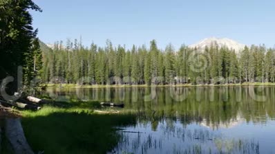 拉森火山国家公园的森林和山顶视频的预览图