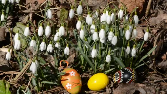 三个复活节彩蛋在雪花和春风中视频的预览图