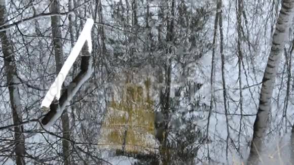 树在水和雪中的倒影视频的预览图