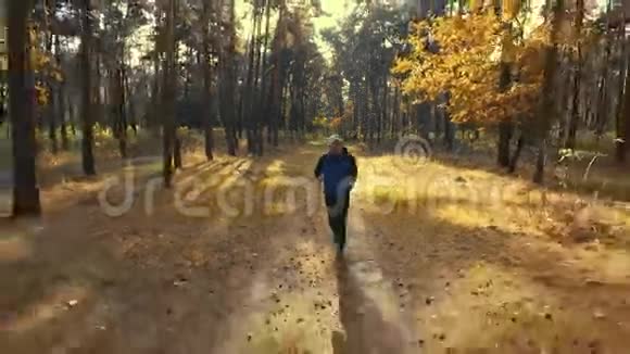 人在晨林中奔跑体育运动视频的预览图