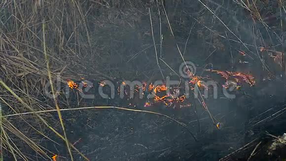 田野里的干草着火了视频的预览图