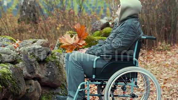 轮椅上有秋叶的残疾人视频的预览图