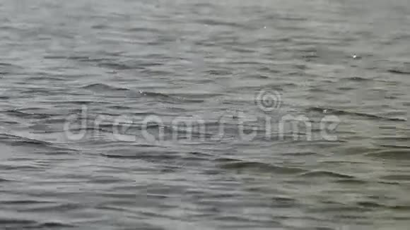 河上的波浪视频的预览图