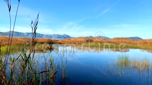 Pego和Oliva湿地自然公园LaMarjal的鸟观景图视频的预览图