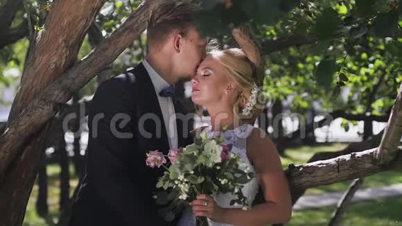 新郎新娘夏天在公园散步亲吻和拥抱视频的预览图