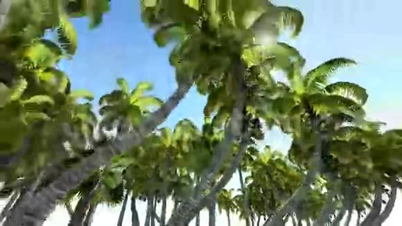 海上天堂热带岛屿的鸟瞰图视频的预览图