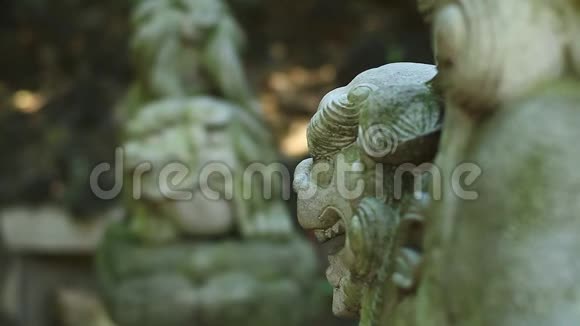 东京新川神社女守护犬视频的预览图