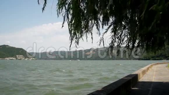 多瑙河和杨柳树随风飘扬视频的预览图