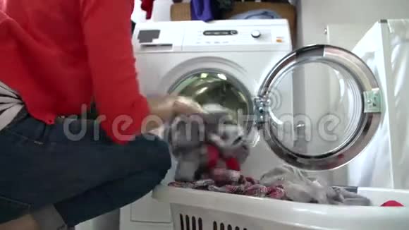女人把衣服装进洗衣机视频的预览图