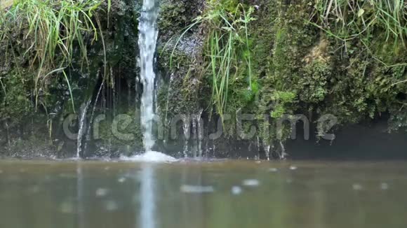小瀑布从苔藓岩滴入河中视频的预览图
