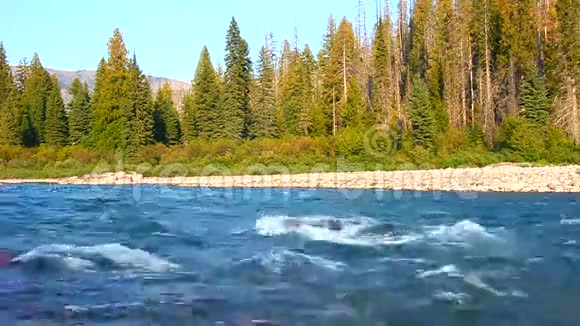 靠近冰川国家公园的平头河视频的预览图