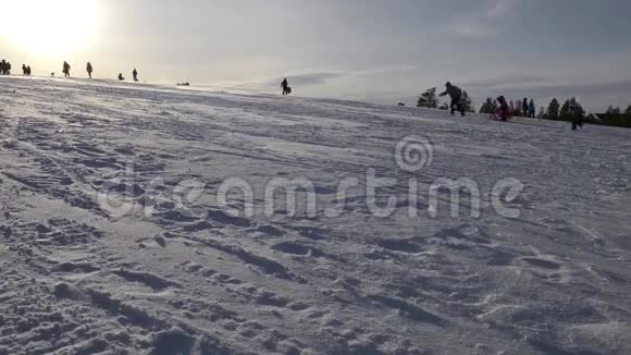 冬天孩子们骑着雪橇下山视频的预览图
