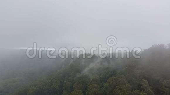 雾蒙蒙的山林雾气沉淀视频的预览图